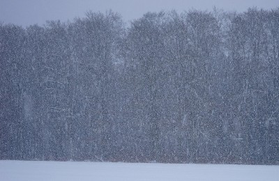 метель, снег