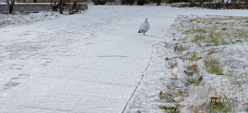 снег, непогода