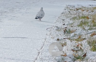снег, непогода