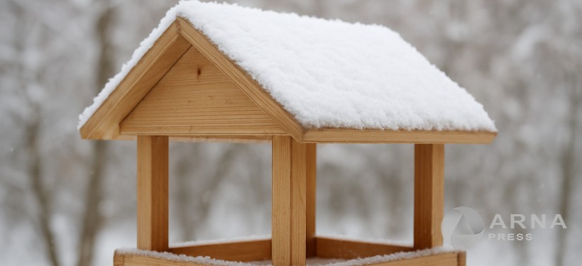 кормушка для птиц