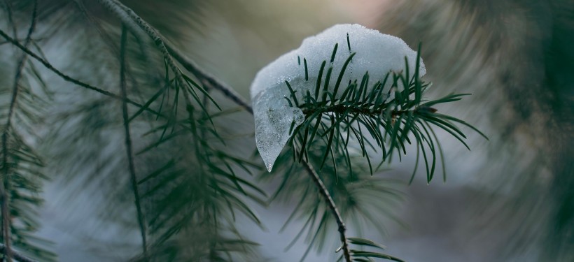 снег, непогода