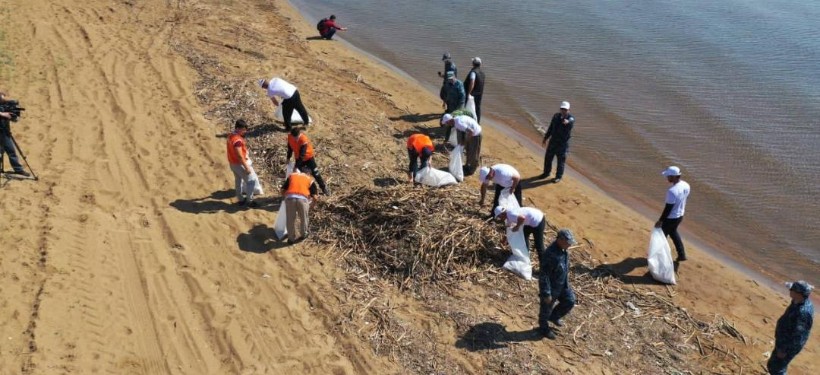 чистка водоемов
