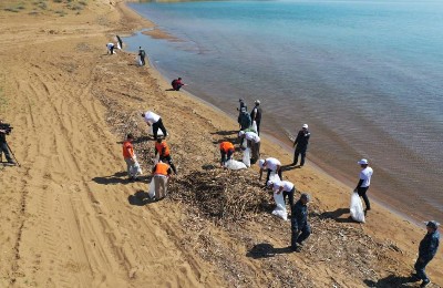 чистка водоемов