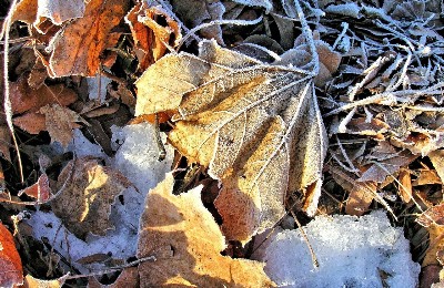 погода, снег, ноябрь