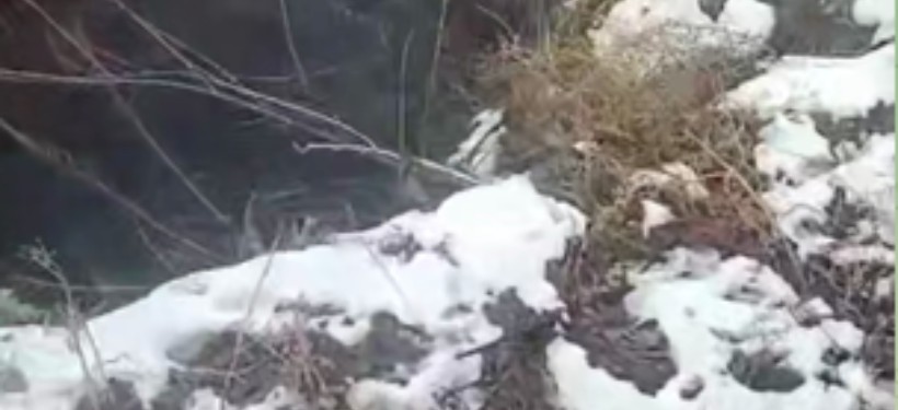 берег, река