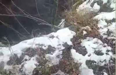 берег, река