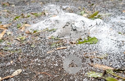 Штормовое предупреждение объявили в нескольких областях Казахстана