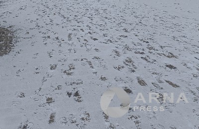 снег, гололед