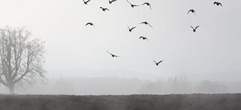 ноябрь, непогода