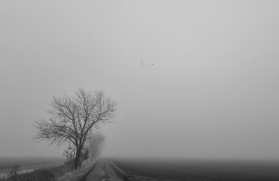 туман, мороз