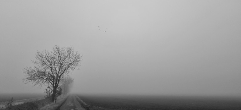 туман, мороз