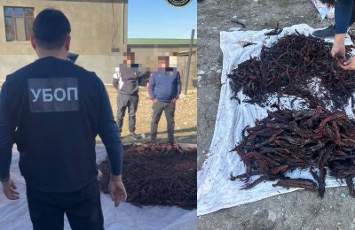 полиция, изъятие