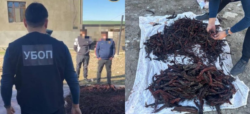 полиция, изъятие