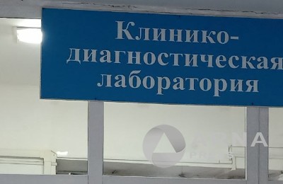 Выявлены ли в Казахстане новые типы гриппа, рассказали в Минздраве