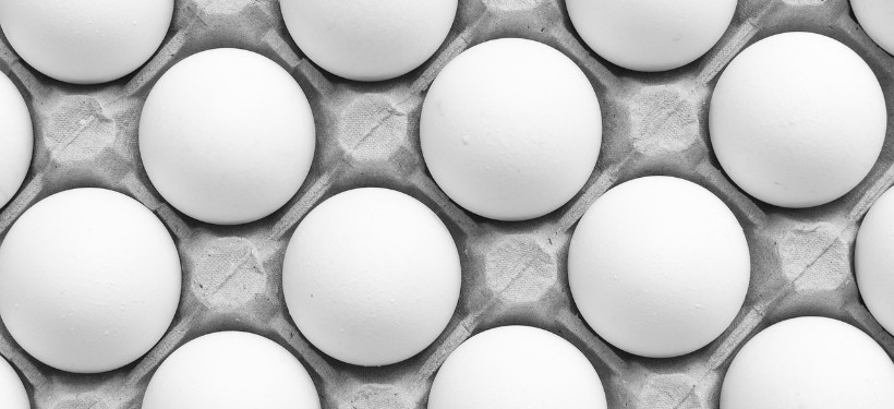 яйца, ввоз яиц