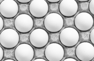 яйца, ввоз яиц