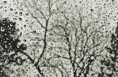 погода, дождь