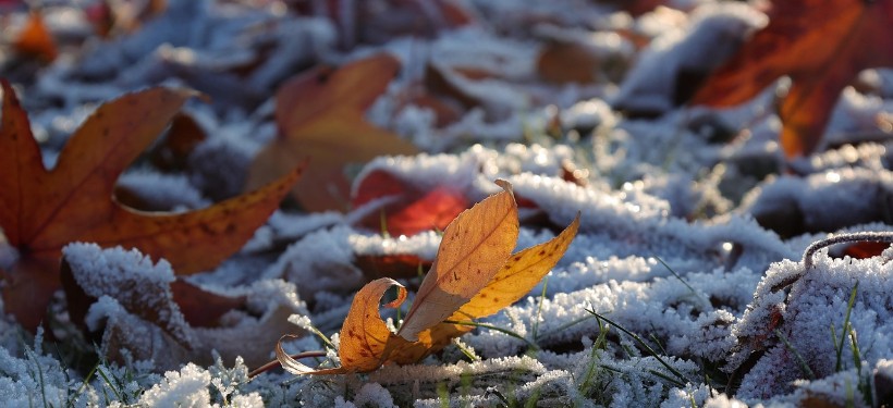 ноябрь, снег