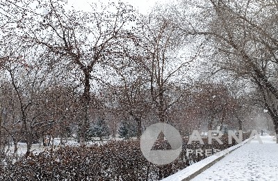 погода, ноябрь