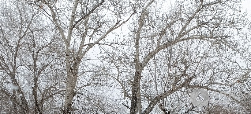 Гололед и низовые метели: о непогоде предупредили жителей ряда регионов Казахстана