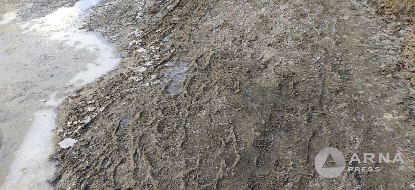 Юность дорога