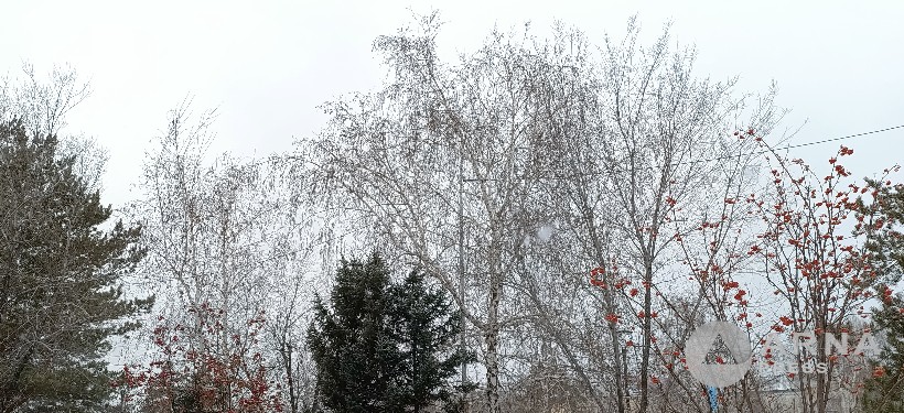 погода, ноябрь