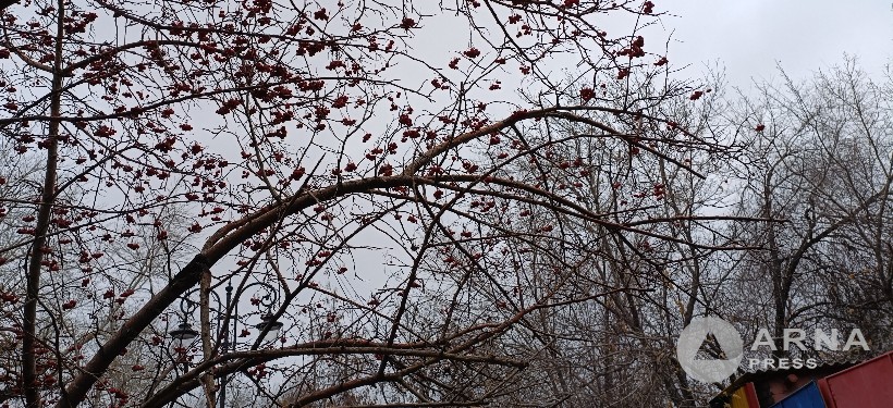 погода, декабрь