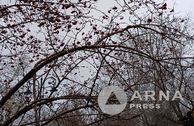 погода, декабрь