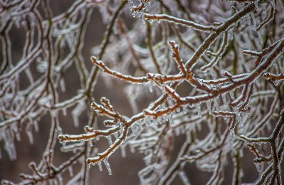 непогода, декабрь