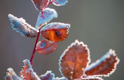декабрь, погода