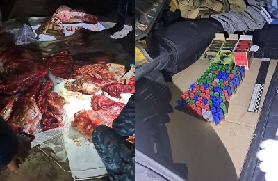 мясо, говядина