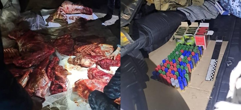 мясо, говядина