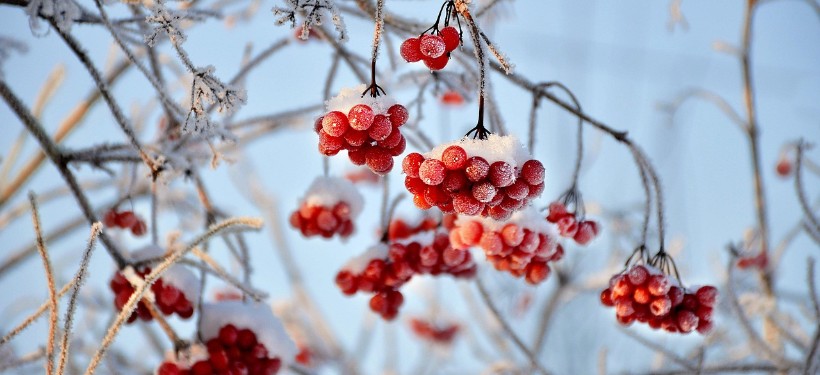 зима, декабрь