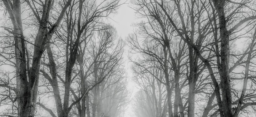 зима, погода