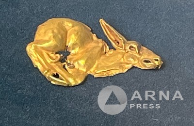 Тысячи золотых артефактов Великой степи представили семейчанам