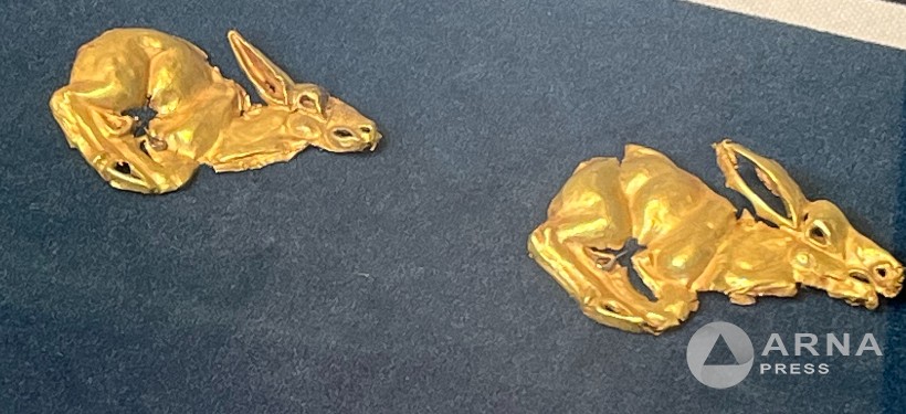 Тысячи золотых артефактов Великой степи представили семейчанам