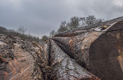 лесоматериалы