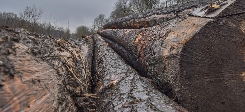 лесоматериалы