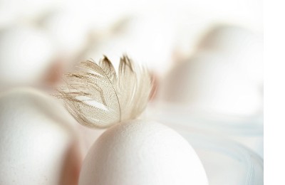 Куриные яйца временно запретили ввозить в Казахстан