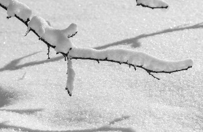 зима, декабрь