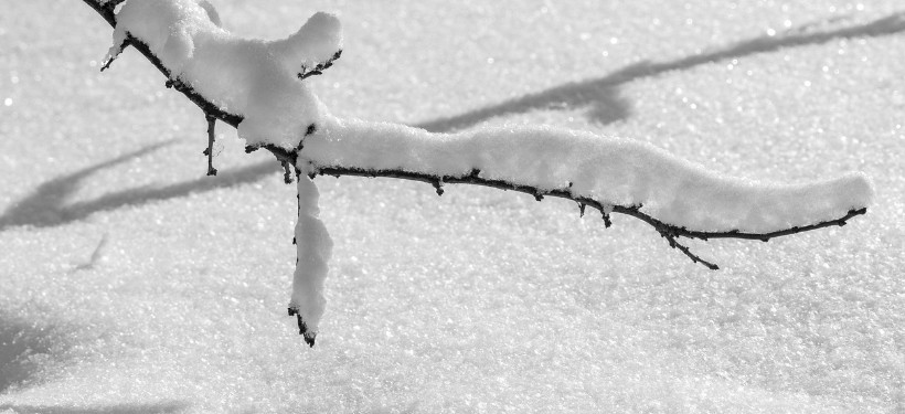 зима, декабрь