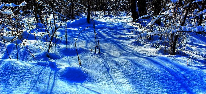 снег, декабрь