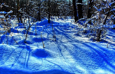снег, декабрь