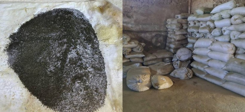 изъятие насвая