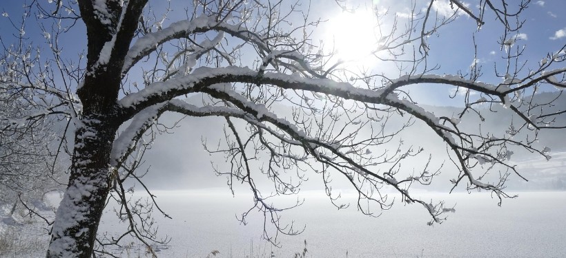 мороз, зима