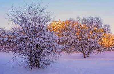 мороз, зима