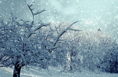 снегопад, снег