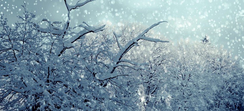 снегопад, снег