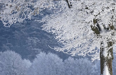 мороз, зима