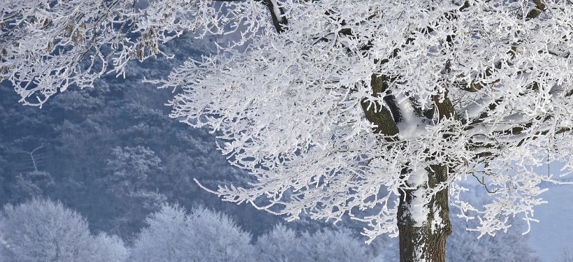 мороз, зима